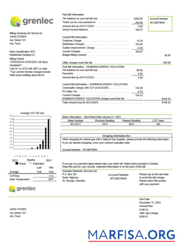 Printable Grenada Electricity Services utility bill Word and PDF template